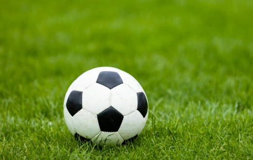 The Shared Blend of Excitement and Trepidation: Rediscovering the Unifying Charm of Sporting Events